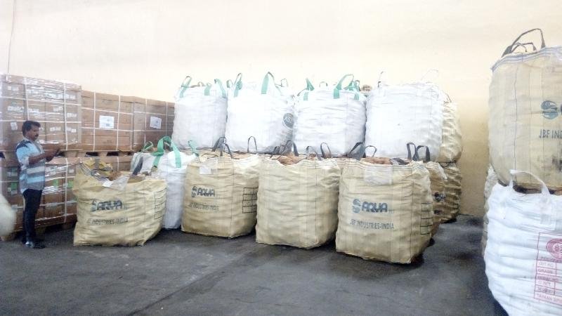 Semi Husked Coconut 05