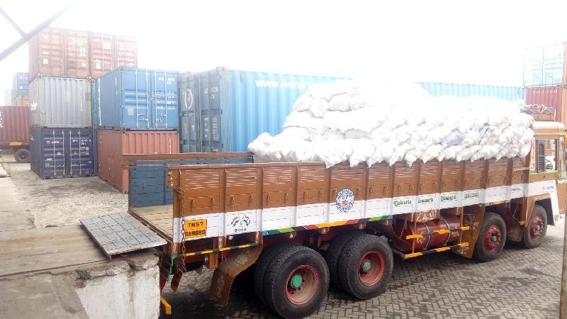 Semi Husked Coconut 06