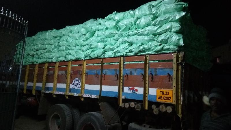 Semi Husked Coconut 09