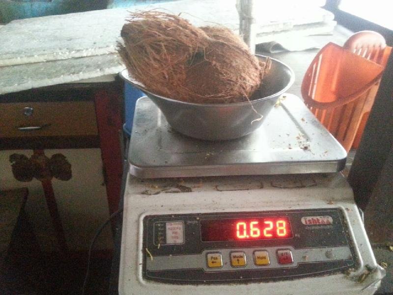 Semi Husked Coconut 12