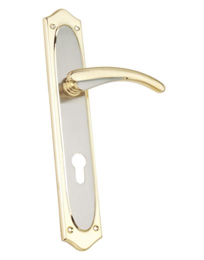 Mortise Door Handle 07
