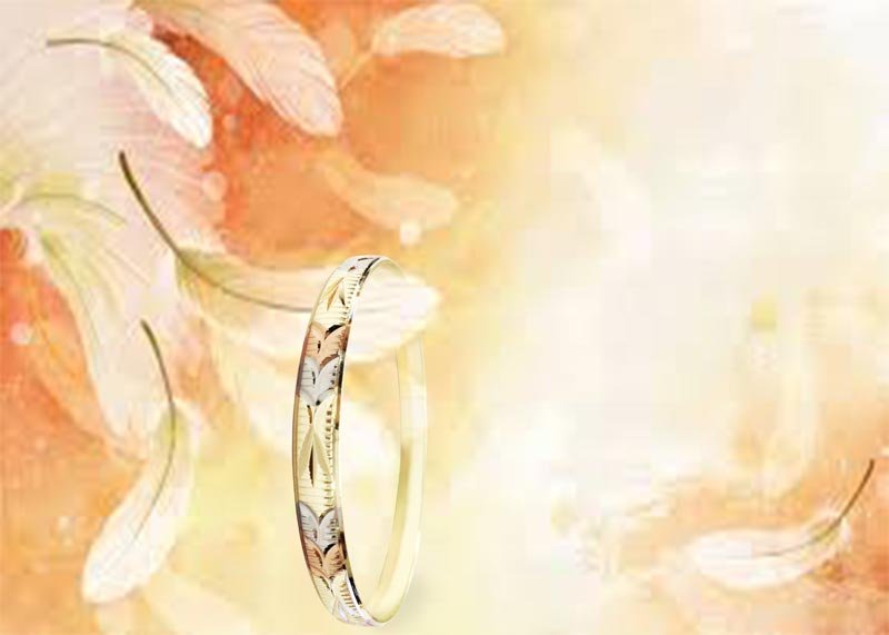 Three Tone Semanario Bangles