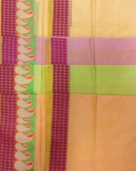 Paisley Border Plain Saree