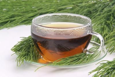 Horsetail Tea