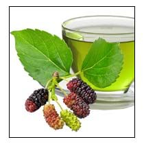 Mulberry Tea