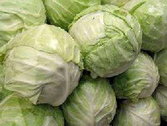 White Cabbage