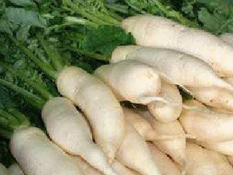 White Radish
