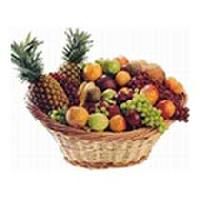 Item Code : FVWRB-04