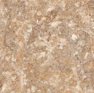 Digital Polished Glazed Vitrified Tile (L-1149)