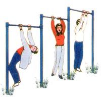 Horizontal Bar 3 in 1 - MTLB-FR-HB31-12