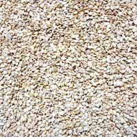 Natural Sesame Seeds