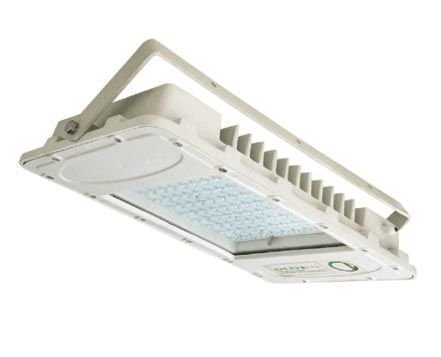 LED Flood Light (WA)