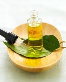 Himalayan Cedar Wood Oil 09