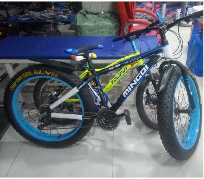 Fat Tire Mountain Bike 02