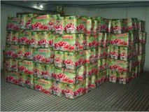 Fruit Ripening Plant