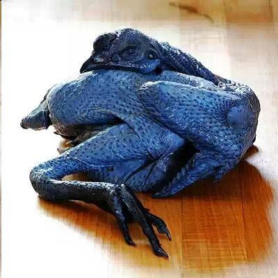 Kadaknath Chicken Meat 02