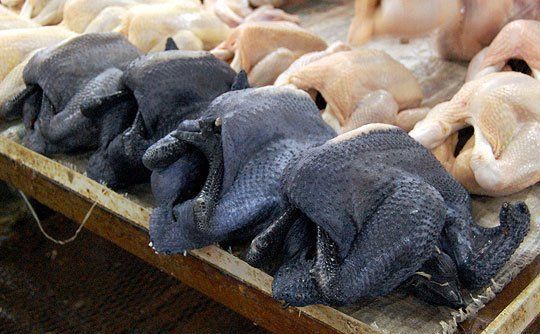 Kadaknath Chicken Meat 10