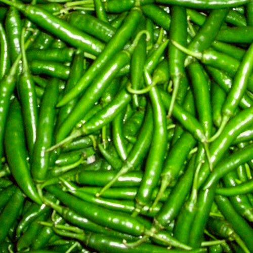 Fresh Green Chilli 02
