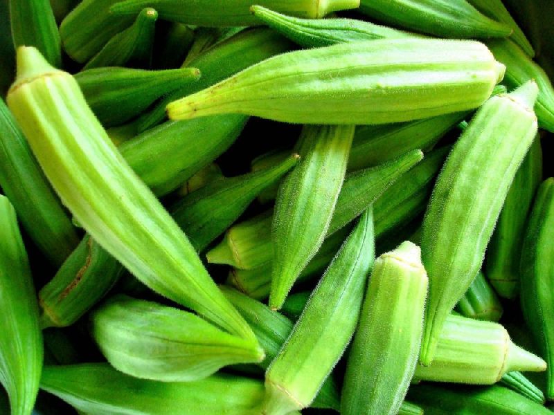Fresh Okra 01