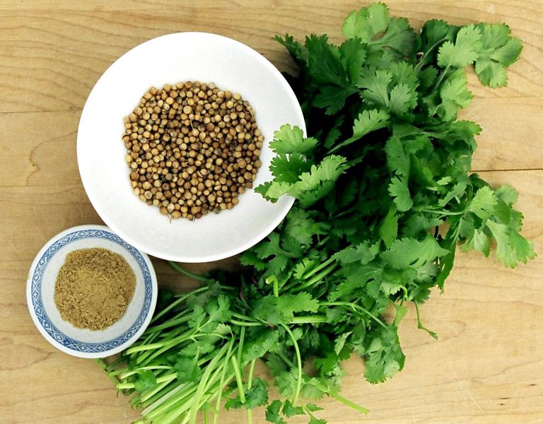 Coriander Seeds