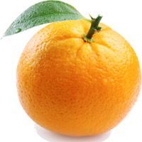 Fresh Orange