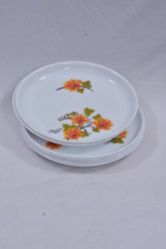 Round Quarter Plastic Plate