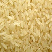 Rice 04