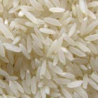 Rice 05