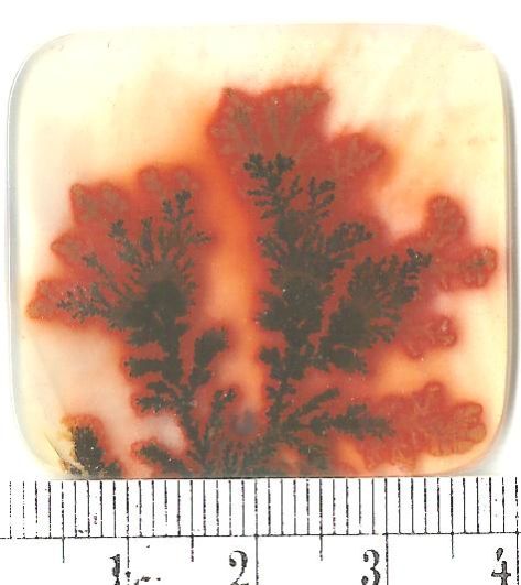 Dendritic Agate Stones 29