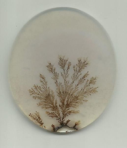 Dendritic Agate Stones 30