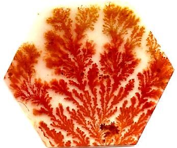 Dendritic Agate Stones 32