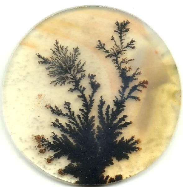 Dendritic Agate Stones 40