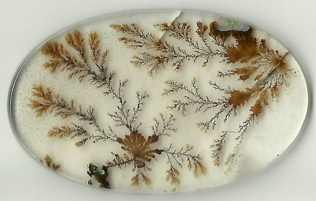 Dendritic Agate Stones 01