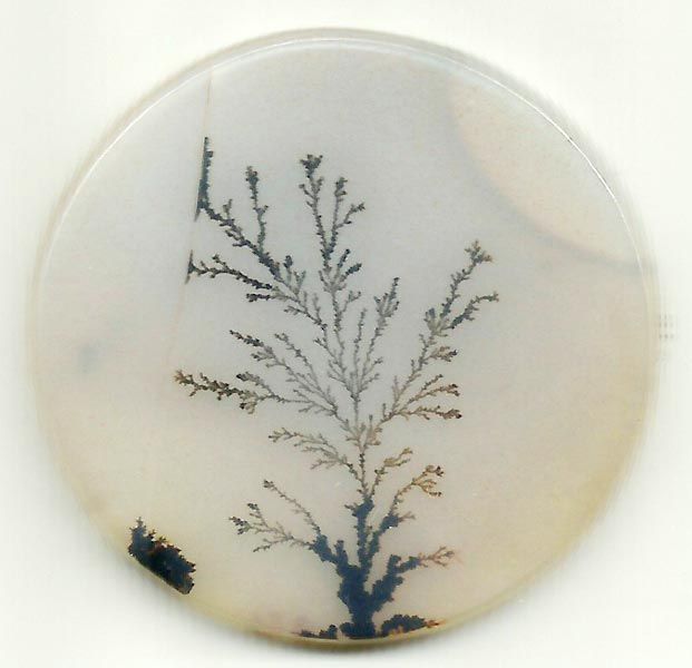 Dendritic Agate Stones 02