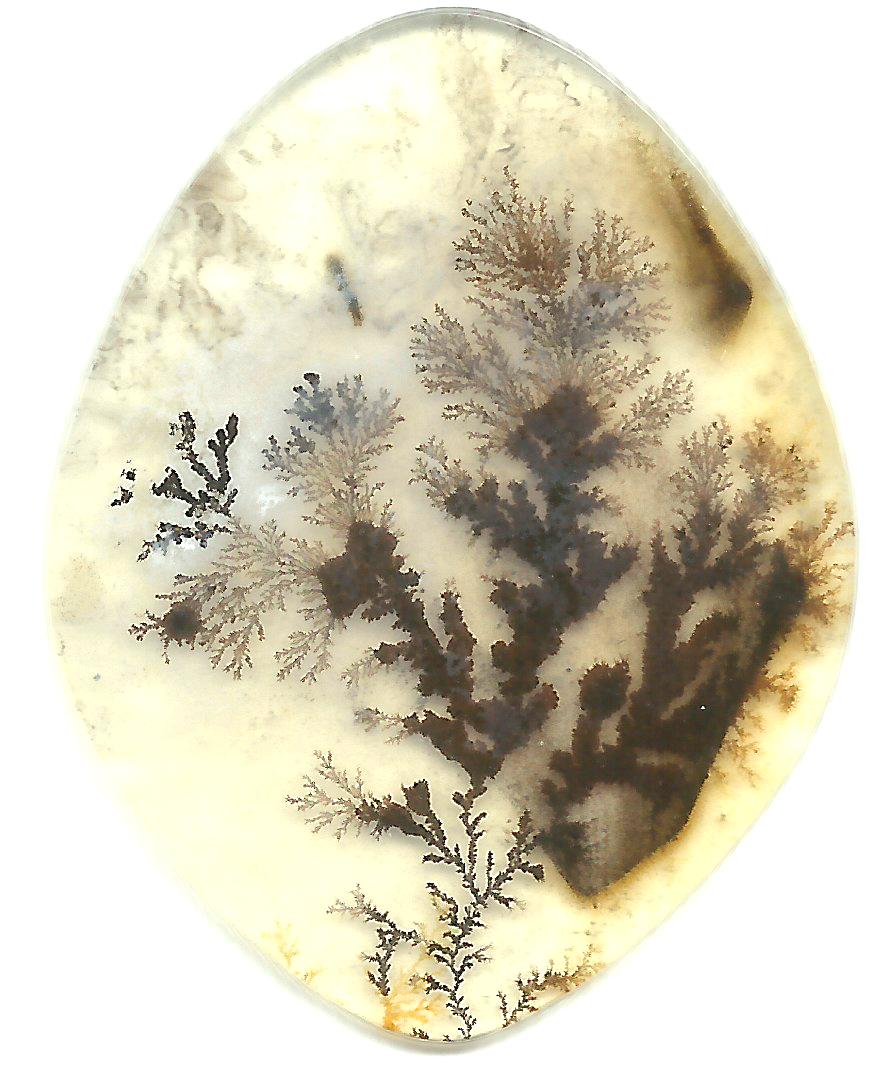 Dendritic Agate Stones 05