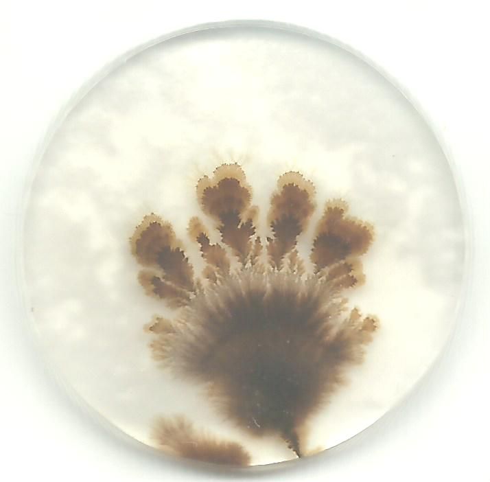 Dendritic Agate Stones 06