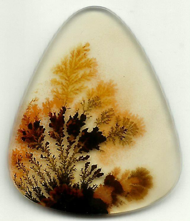 Dendritic Agate Stones 07