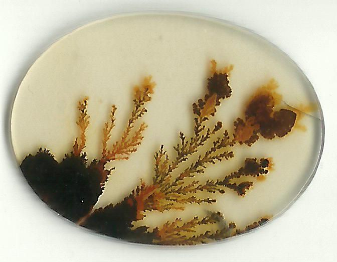 Dendritic Agate Stones 08