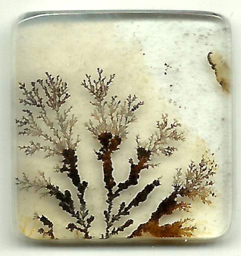 Dendritic Agate Stones 10