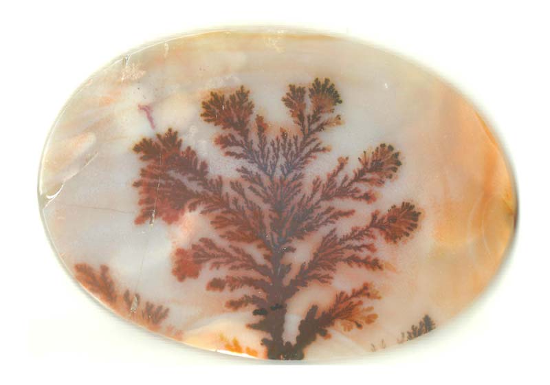 Dendritic Agate Stones 12