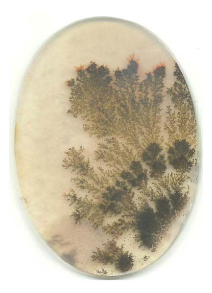 Dendritic Agate Stones 13