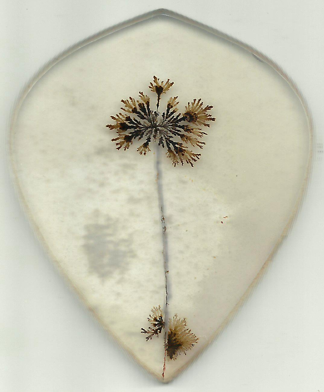 Dendritic Agate Stones 14