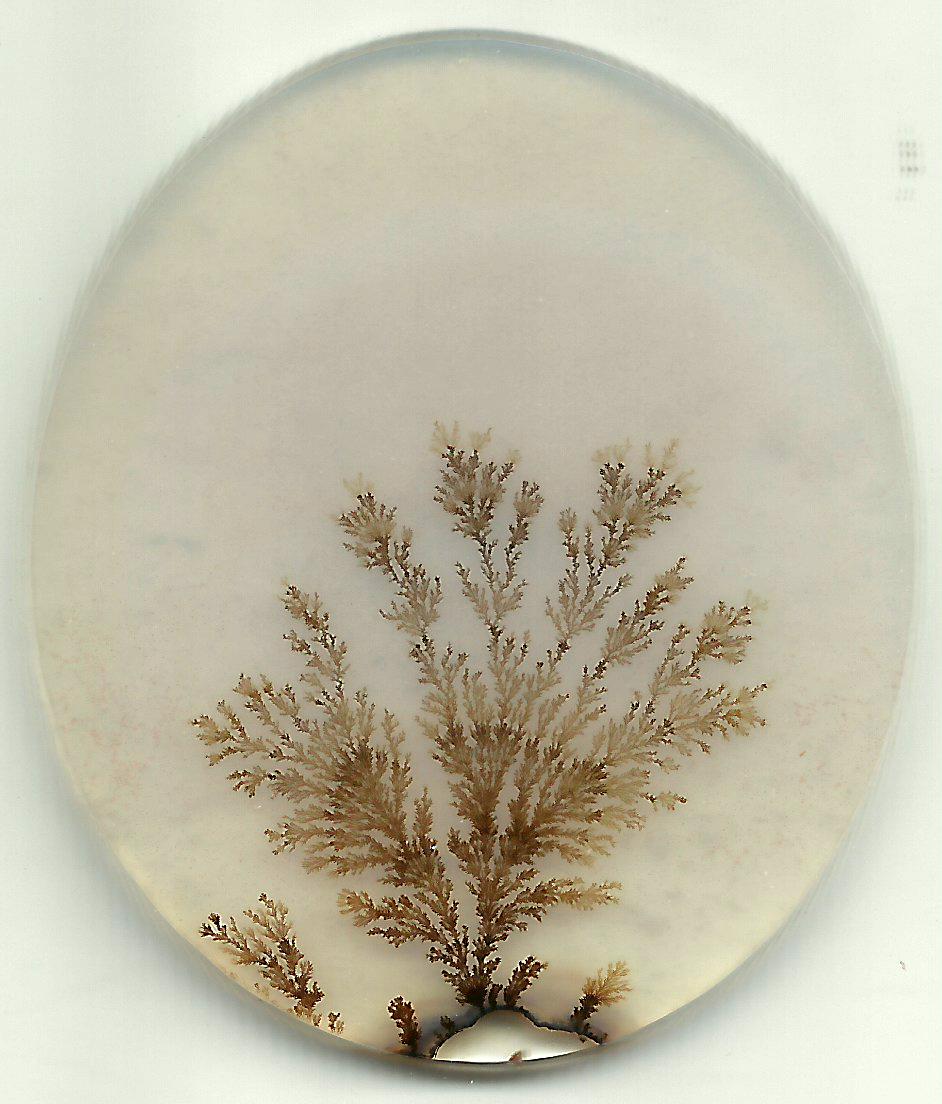 Dendritic Agate Stones 15