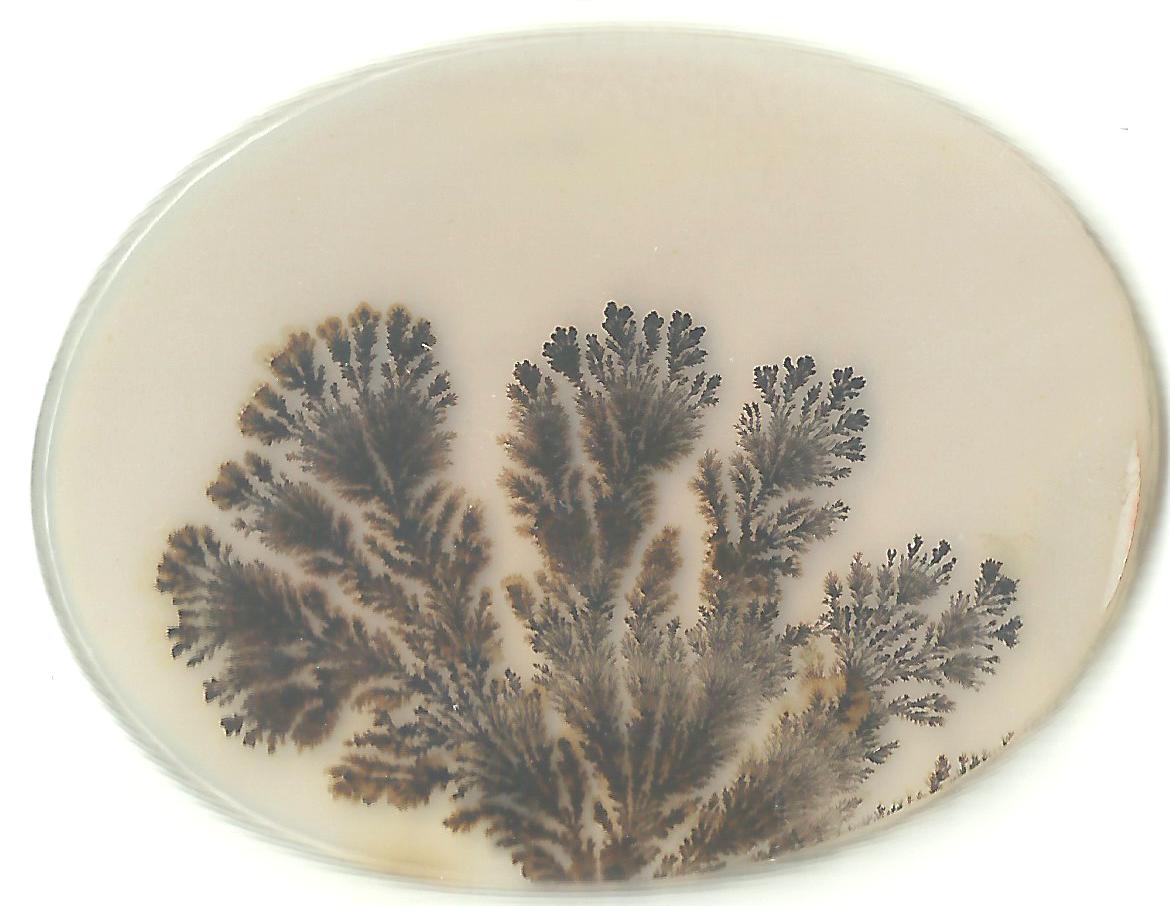 Dendritic Agate Stones 16