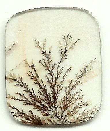Dendritic Agate Stones 17