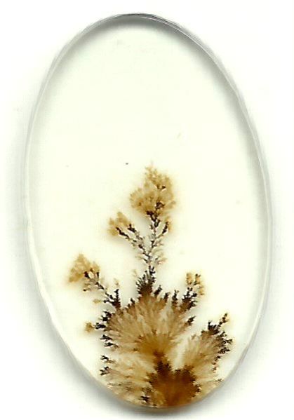 Dendritic Agate Stones 18