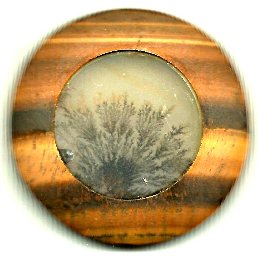 Dendritic Agate Stones 21