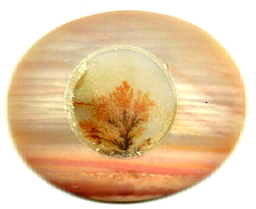 Dendritic Agate Stones 22