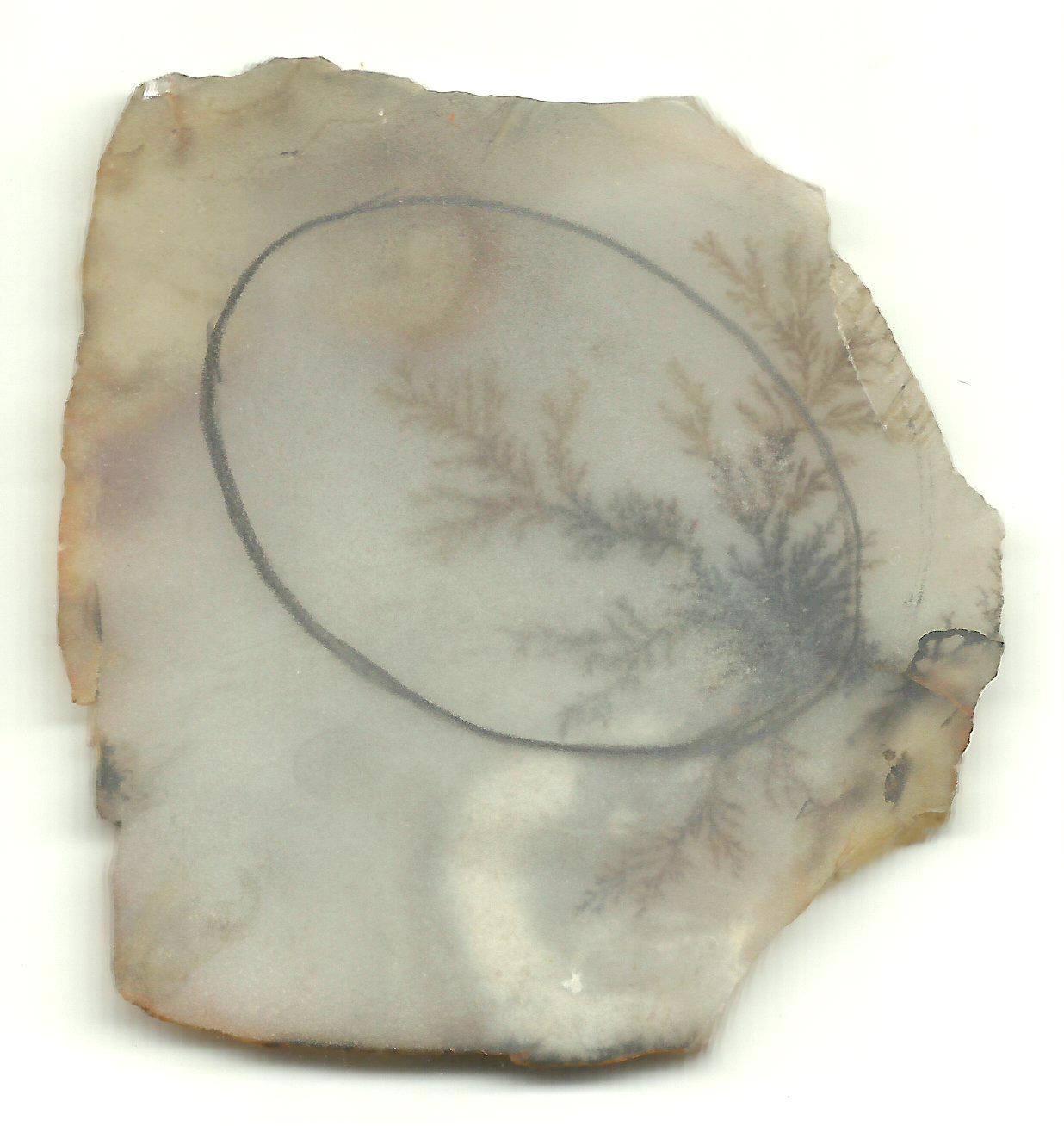 Dendritic Agate Stones 24