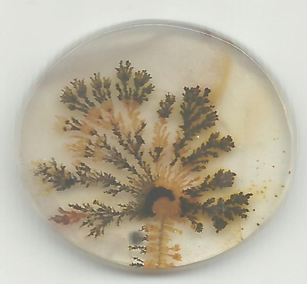 Dendritic Agate Stones 27